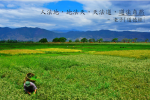 cihang, cihang news, Feb 2014 人法地, 地法天, 天法道, 道法自然, 人法地, 地法天, 天法道, 道法自然