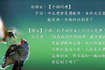 cihang, cihang news, Apr 2014 论语云: 【子游问孝】 子曰：今之孝者是谓能养，至於犬马皆能有养，不敬何以别乎？, 论语云: 【子游问孝】 子曰：今之孝者是谓能养，至於犬马皆能有养，不敬何以别乎？