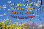 cihang, cihang news, Feb 2015 采一缕解冻的春风，带一束最先开放的花朵，去吹开寒冷一冬的心，去点亮生活的七彩颜色。, 采一缕解冻的春风，带一束最先开放的花朵，去吹开寒冷一冬的心，去点亮生活的七彩颜色。