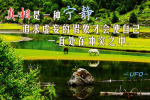 cihang, cihang news, Nov 2015 真相是一种宁静, 追求虚妄的假象才会使自己一直处在冲突之中。, 真相是一种宁静, 追求虚妄的假象才会使自己一直处在冲突之中。
