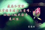 cihang, cihang news, Jan 2016 感恩和宽容经常源自痛苦与磨难，必须以极大毅力来训练。, 感恩和宽容经常源自痛苦与磨难，必须以极大毅力来训练。