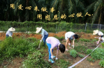 cihang, cihang news, Mar 2017 用爱心来做事，用感恩的心做人。, 用爱心来做事，用感恩的心做人。