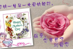 cihang, cihang news, May 2017 您的一生是一次爱的航行。 母亲，您辛苦了，我爱您 ！, 您的一生是一次爱的航行。 母亲，您辛苦了，我爱您 ！