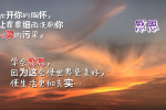 cihang, cihang news, Aug 2017 放开你的胸怀，让霏霏细雨洗刷你心灵的污染。 学会感恩，因为这会使世界更美好，使生活更加充实。, 放开你的胸怀，让霏霏细雨洗刷你心灵的污染。 学会感恩，因为这会使世界更美好，使生活更加充实。
