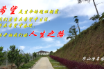 cihang, cihang news, Dec 2017 希望是生命的瑰丽朝霞，我们应当在希望中生活， 并在希望中奋进，去开拓我们的人生之路。, 希望是生命的瑰丽朝霞，我们应当在希望中生活， 并在希望中奋进，去开拓我们的人生之路。