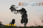 cihang, cihang news, Dec 2018 思无邪一切即柔和, 思无邪一切即柔和