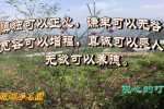 cihang, cihang news, Feb 2019 慎独可以正心，谦卑可以无咎，宽容可以增福，真诚可以感人，无欲可以养德。, 慎独可以正心，谦卑可以无咎，宽容可以增福，真诚可以感人，无欲可以养德。