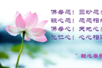 cihang, cihang news, May 2019 佛母愿！圆妙愿！观心愿！愿愿相续。 佛母心！天地心！化仁心！心心相连。, 佛母愿！圆妙愿！观心愿！愿愿相续。 佛母心！天地心！化仁心！心心相连。
