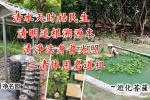 cihang, cihang news, Sep 2019 清水天財祜民生、清明追根溯源本、 清淨法身普光照、三清体用名道祖, 清水天財祜民生、清明追根溯源本、 清淨法身普光照、三清体用名道祖